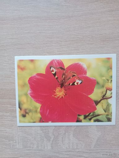 Календарик 1990