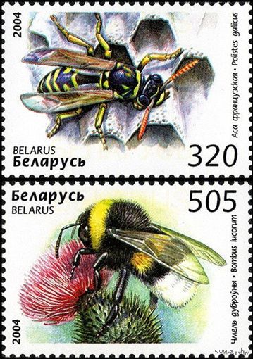 Пчелы, осы, шмели фауна  Беларусь 2004 год (573-574) **