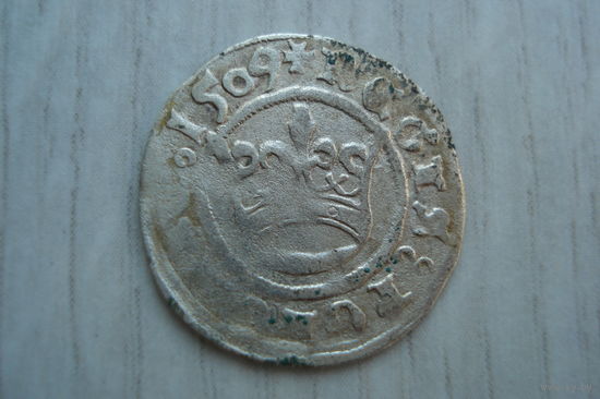 Полугрош 1509 года Сигизмунд I Старый. Польша.