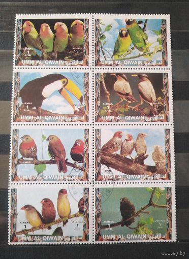 Кувейт. 1973г. Фауна.
