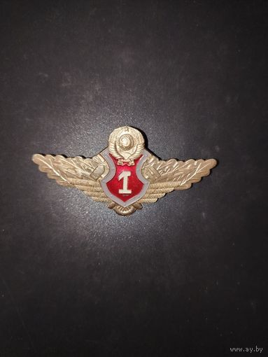 Классность (легкий знак на заколке) в люксе