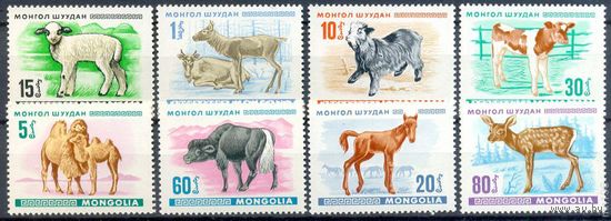 МОНГОЛИЯ **1968 г. ФАУНА АЗИИ, МОЛОДНЯК, ДЕТЕНЫШИ ПОЛНАЯ СЕРИЯ, 6 евро