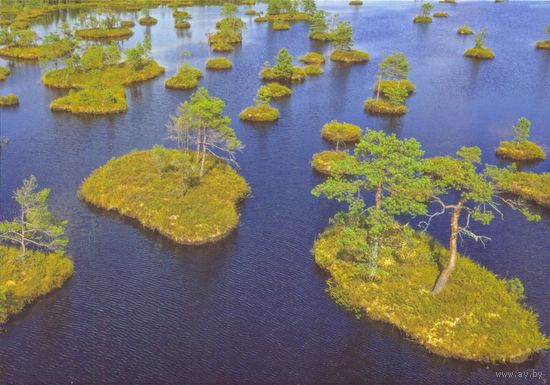 Беларусь Белпошта 2021 озеро "Курганистое" заказник "Ельня" Витебская область