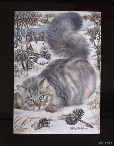 Открытка. Фауна. Животные. Кот. Коты. Котики. Котик Дымок. Худ. Т.Хазова (чистая)