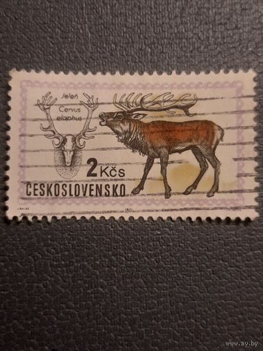 Чехословакия 1971. Олень. Cervus Elaphus
