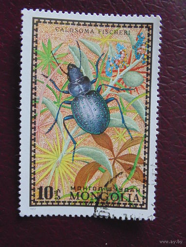 Монголия 1972 г. Жук Красотел Фишера.