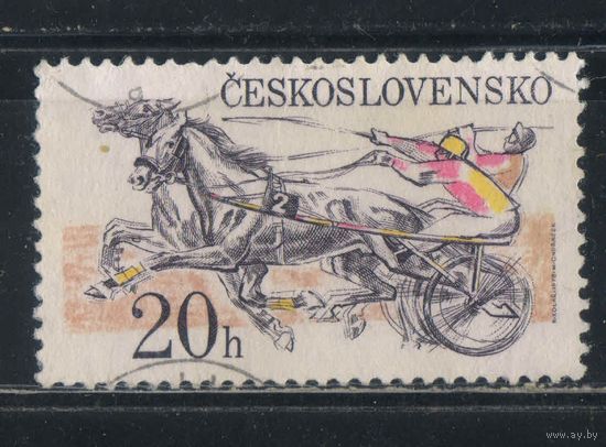 Чехословакия ЧССР 1978 Скачки в упряжке в Пардубице #2470