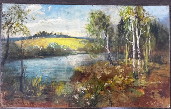 Цидик Н оргалит масло 50*30