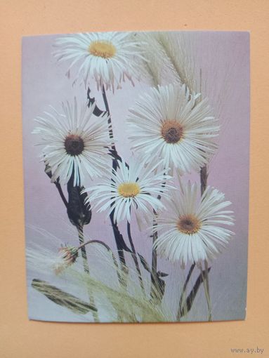 Открытка мини 1989