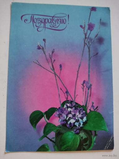 Открытка "Поздравляю!", фото П.Шраго, 1980г.