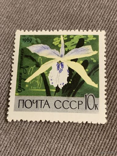 СССР 1969. Орхидея каттлея. Марка из серии