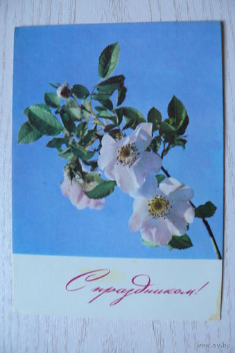 С праздником! 1967, подписана.