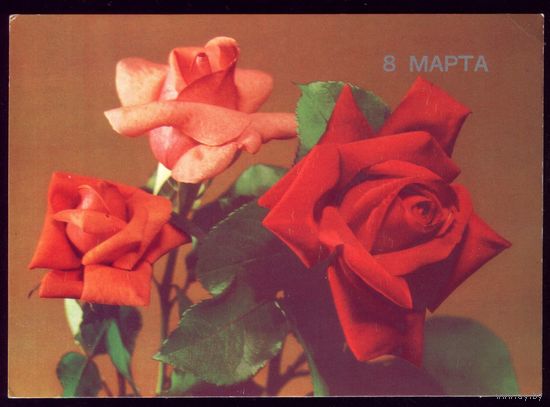 1989 год Б.Круцко 8 марта
