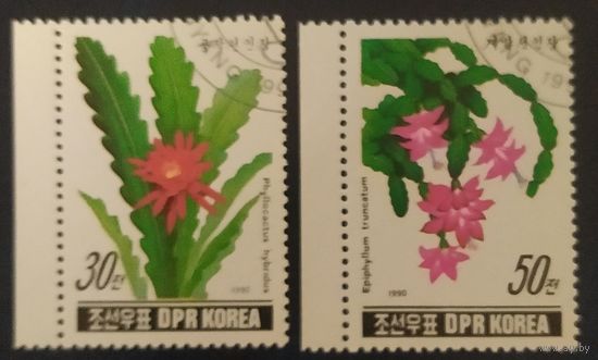 КНДР 1990 кактусы 2 из 3 .