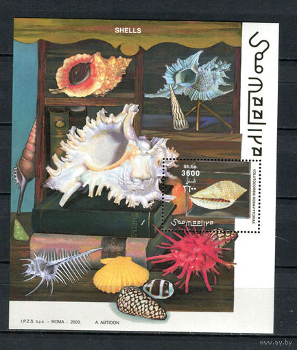 Сомали - 2003 - Ракушки - 1 блок. MNH.  (Лот 179AX)