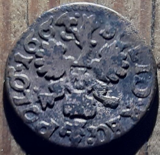 Боратинка 1664 год