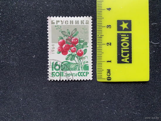 Брусника