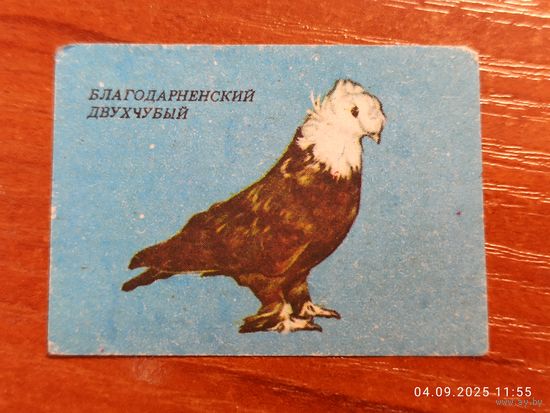 Спичечная этикетка Благодарненский голубь