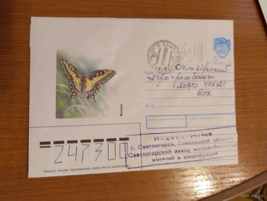 Последние провизории СССР - БССР Светлогорск Гомель обл редкий фауна насекомые бабочка