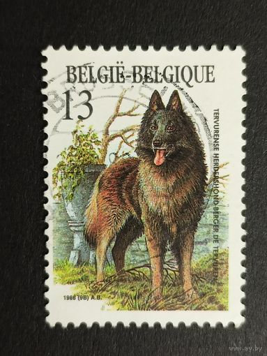 Бельгия 1986. Бельгийские породы собак