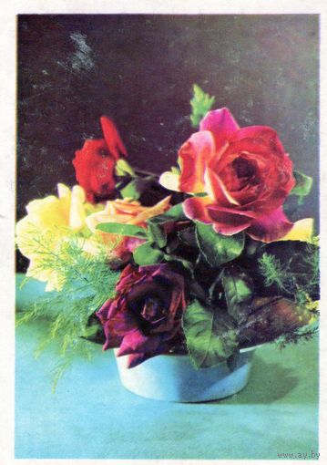 Открытка.Цветы.Розы.Минск .1969