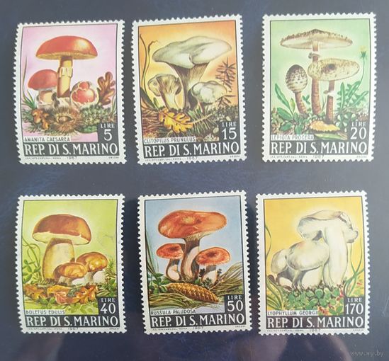 Сан-Марино 1967 Грибы