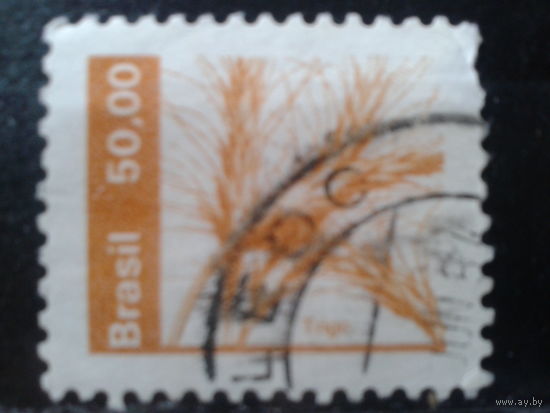 Бразилия 1982 Стандарт, злаки 50,00