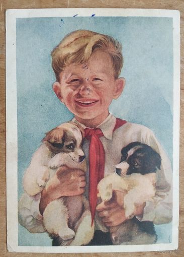 Стрелкова Э. Пионер со щенками. 1954 г. Подписана.