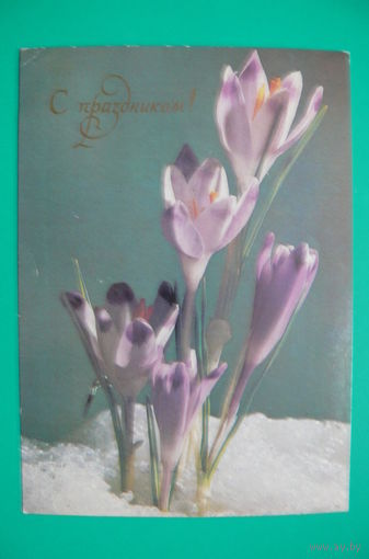 Якименко Р., С праздником! 1980, чистая.