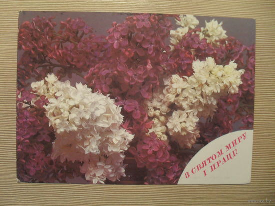 ПОДПИСАННАЯ ОТКРЫТКА. СССР. С ПРАЗДНИКОМ МИРА И ТРУДА! фото. Г. ОВЧИННИКОВ. 1987 г.