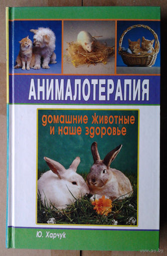 Анималотерапия: Домашние животные и наше здоровье