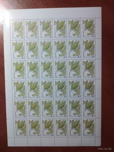 Лист чистых марок СССР 1987 ПАПОРОТНИКИ. АДИАНТУМ СТОПОВИДНЫЙ