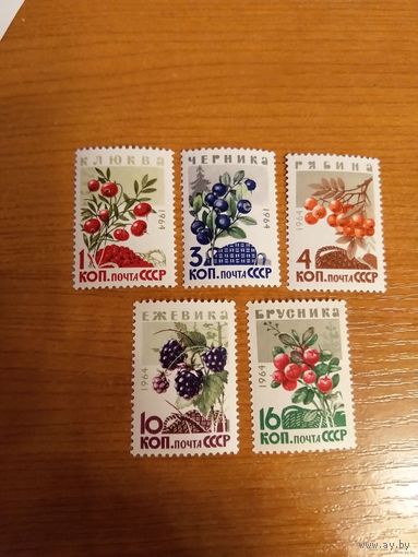 1964 СССР Загорский 3048-3052 флора ягоды чистая полная серия клей MNH** (с-5)