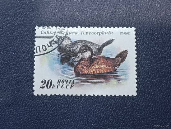 СССР 1991г. Утки