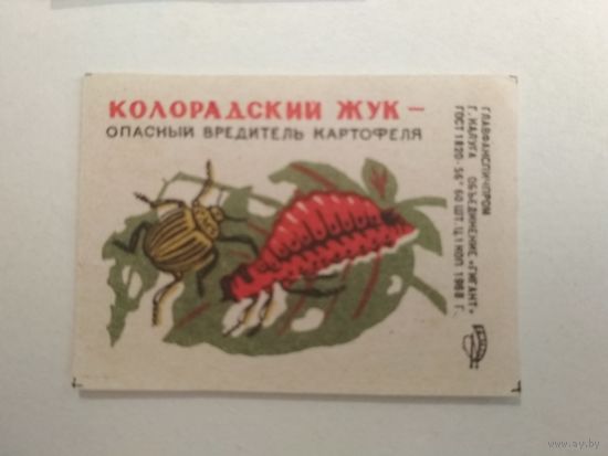 Спичечные этикетки ф.Гигант. Колорадский жук