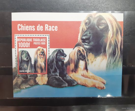 Того. 1999 год. Фауна. Собаки. Блок (833)