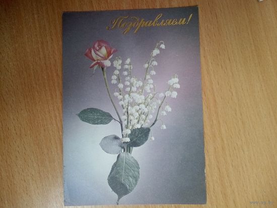 Открытка. Поздравляем! Фото Д. Киндровой. 1990 год