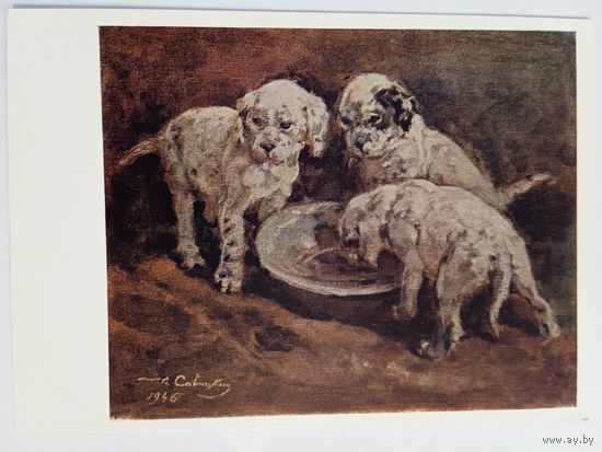 Савицкий. Щенки у миски