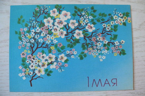 Сидорова Л., 1 Мая, 1989, чистая.