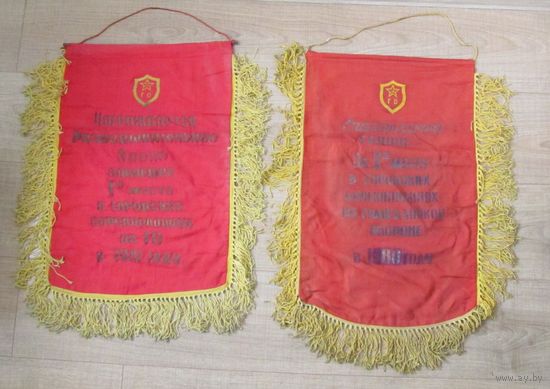 Все лоты с рубля.Редкие вымпелы Гражданская оборона СССР.Разведывательное звено и Спасательная группа.