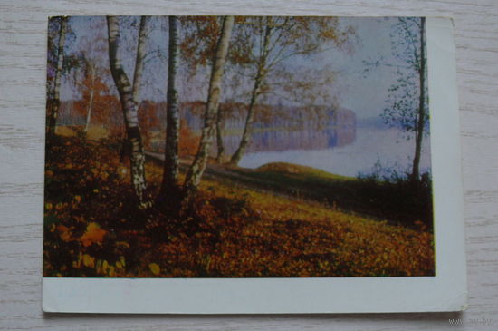 Природа. Подмосковье; 1963; чистая.