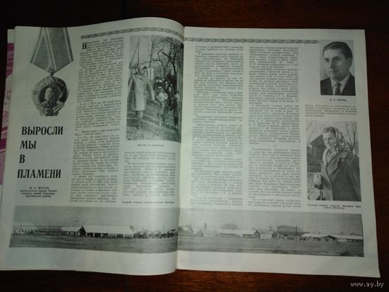 Журнал сельское хозяйство Белоруссии 1964 год