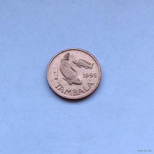 1 тамбала 1995