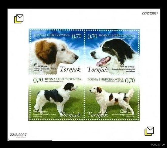 2007 Босния и Герцеговина (хорват.) 195-198 Фауна. Собаки породы торньяк **