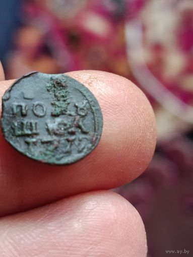 Врп полушка 1719 года