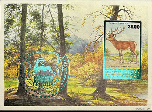 Разновидность почтовой марки "V Национальная филателистическая выставка "Белфила-2006". Олень благородный"