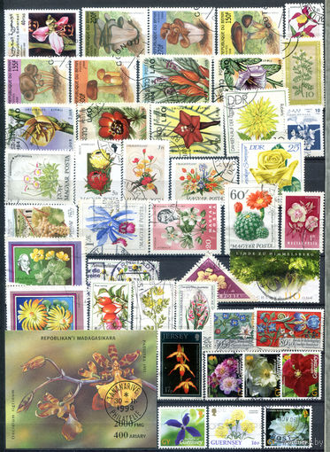 Флора - 40+ марок и 1 блок - гашёные. #4-W1-130-B-2