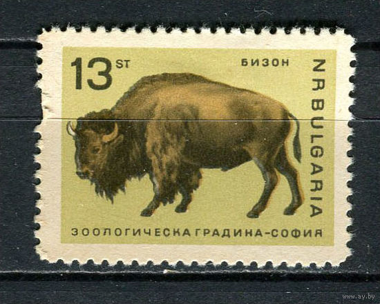 Болгария - 1966 - Бизон 13St - [Mi.1624] - 1 марка. MH.  (Лот 12Fu)-T25P6