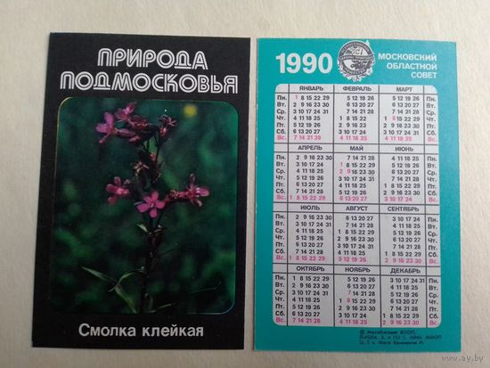 Карманный календарик. Природа Подмосковье. Смолка клейкая. 1990 год