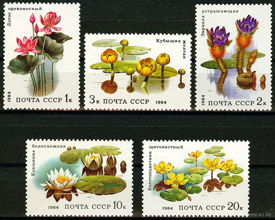 Водные растения